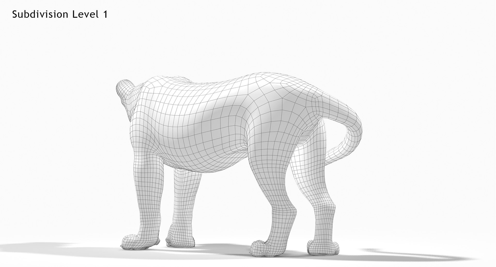 lioness 1 rigged lion 3d model