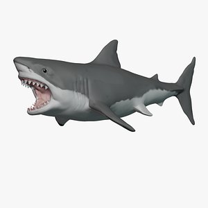 great white shark 3D model