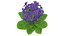 3D Purple Flowering Plants Collection