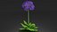 3D Purple Flowering Plants Collection