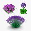 3D Purple Flowering Plants Collection