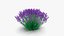 3D Purple Flowering Plants Collection