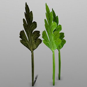 3D parsley ready games model