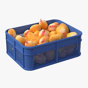 Mango Plastic Crate 3D model