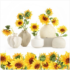 Collection realistic wildflower bouquets sunflower vase decor model