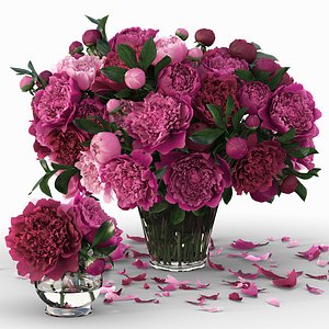 Peony