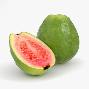 3D guava food fruit model
