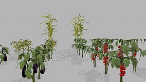 Dirty Vegetable Plant 3D