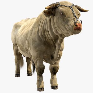 3D model Bull