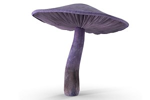 3D cortinarius violaceus model
