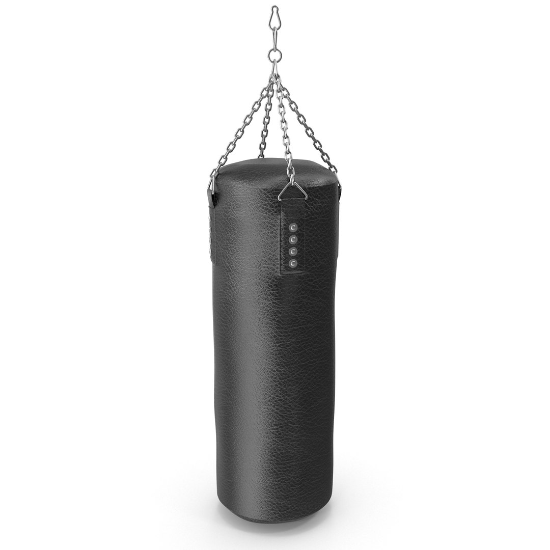 Punch Bag 3d Max