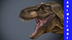 Tyrannosaurus Rex-Animations