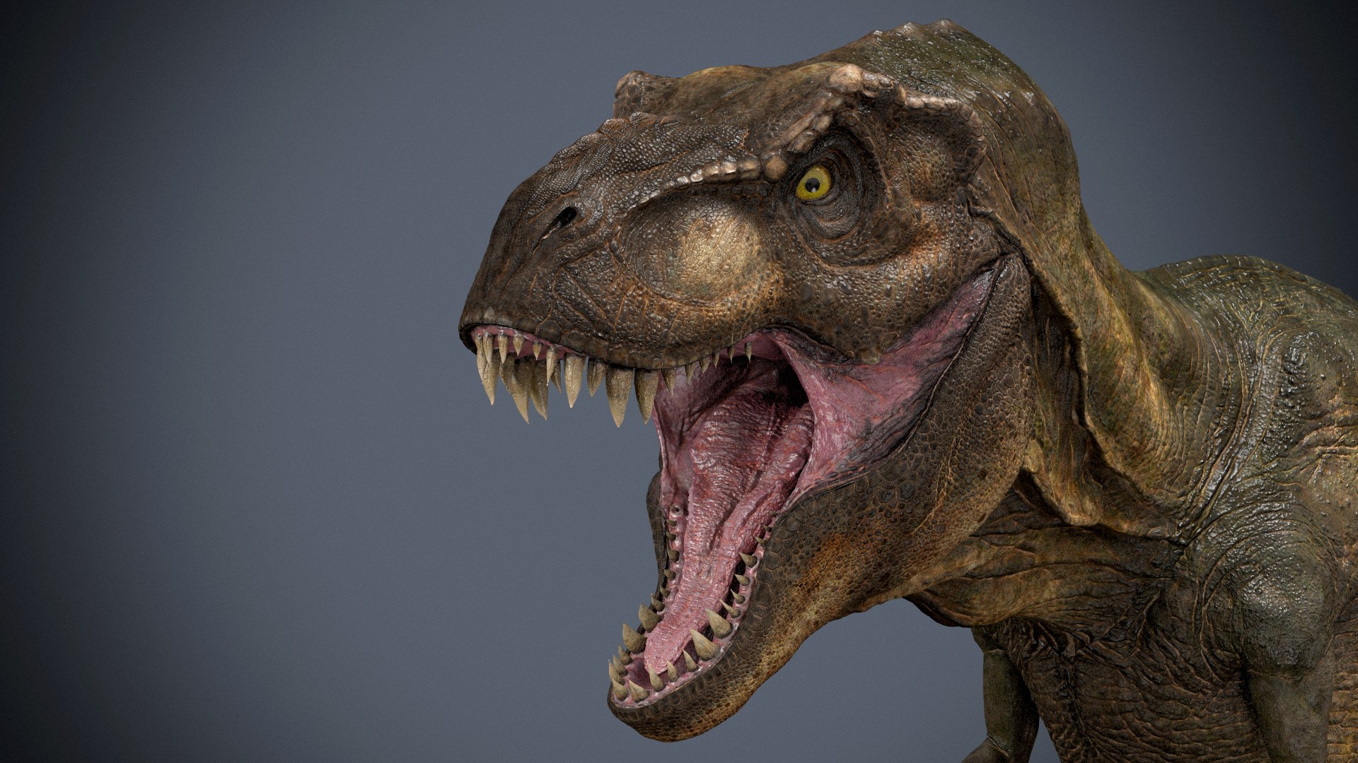 Tyrannosaurus 3D Model - TurboSquid 1291535