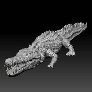 Crocodile HD ztl v2