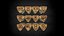 Lot de 12 bagues astrologiques