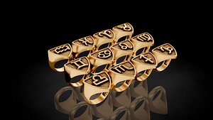 zodiac ring pack 12