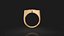 Lot de 12 bagues astrologiques