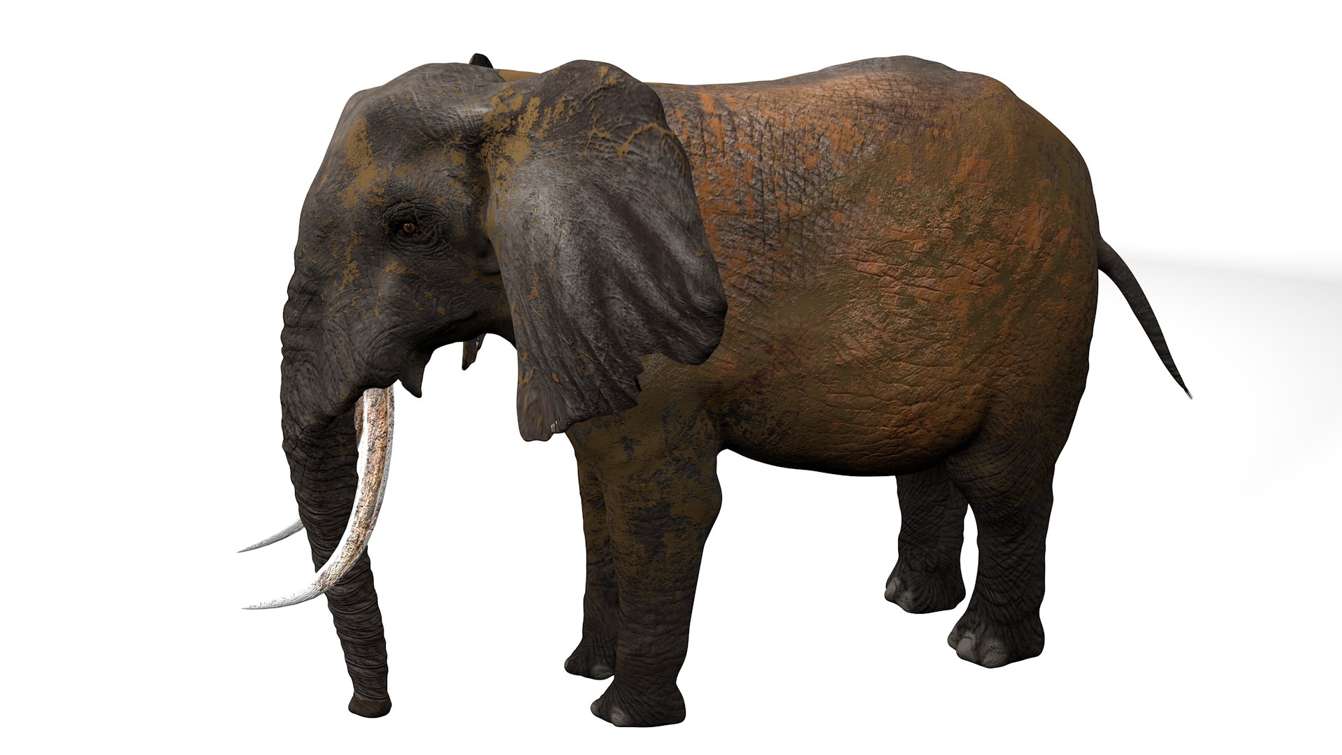 3D African Elephant RIGGED L2352 model https://p.turbosquid.com/ts-thumb/dL/n1uCsX/OF/15_0013/png/1744056668/1920x1080/fit_q87/f2511d9d9b0fc36d93e9cd9ab6b0dde26c4e0ce6/15_0013.jpg