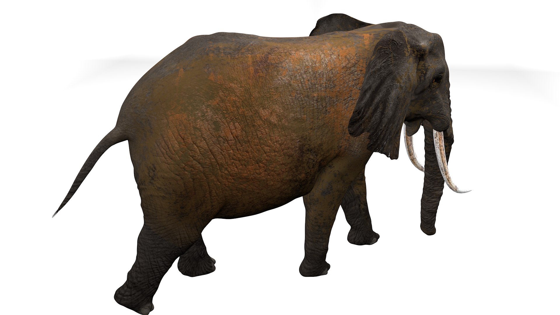 3D African Elephant RIGGED L2352 model https://p.turbosquid.com/ts-thumb/dL/n1uCsX/Oi/05_0003/png/1744056639/1920x1080/fit_q87/6c1577f965d502f6e00ed991175bd145bfb34e04/05_0003.jpg