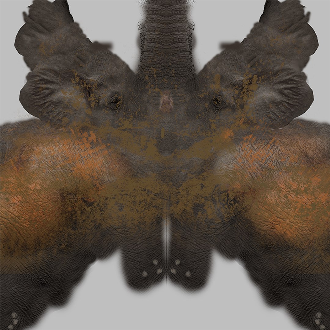 3D African Elephant RIGGED L2352 model https://p.turbosquid.com/ts-thumb/dL/n1uCsX/X7/016/png/1744058637/1920x1080/fit_q87/816255b74fc5ba9bf3bc8bddc42e5ec971638085/016.jpg