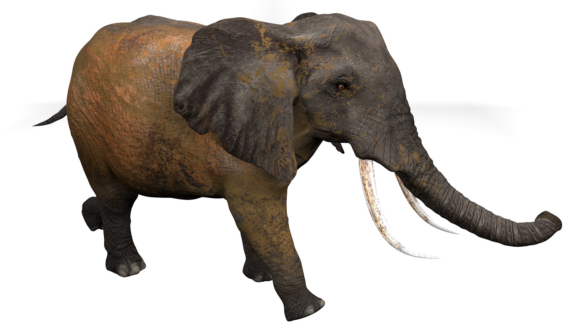 3D African Elephant RIGGED L2352 model https://p.turbosquid.com/ts-thumb/dL/n1uCsX/YI/12_0020/png/1744056658/1920x1080/fit_q87/8e33815ace951722650ac31861cd06f0bed111fb/12_0020.jpg