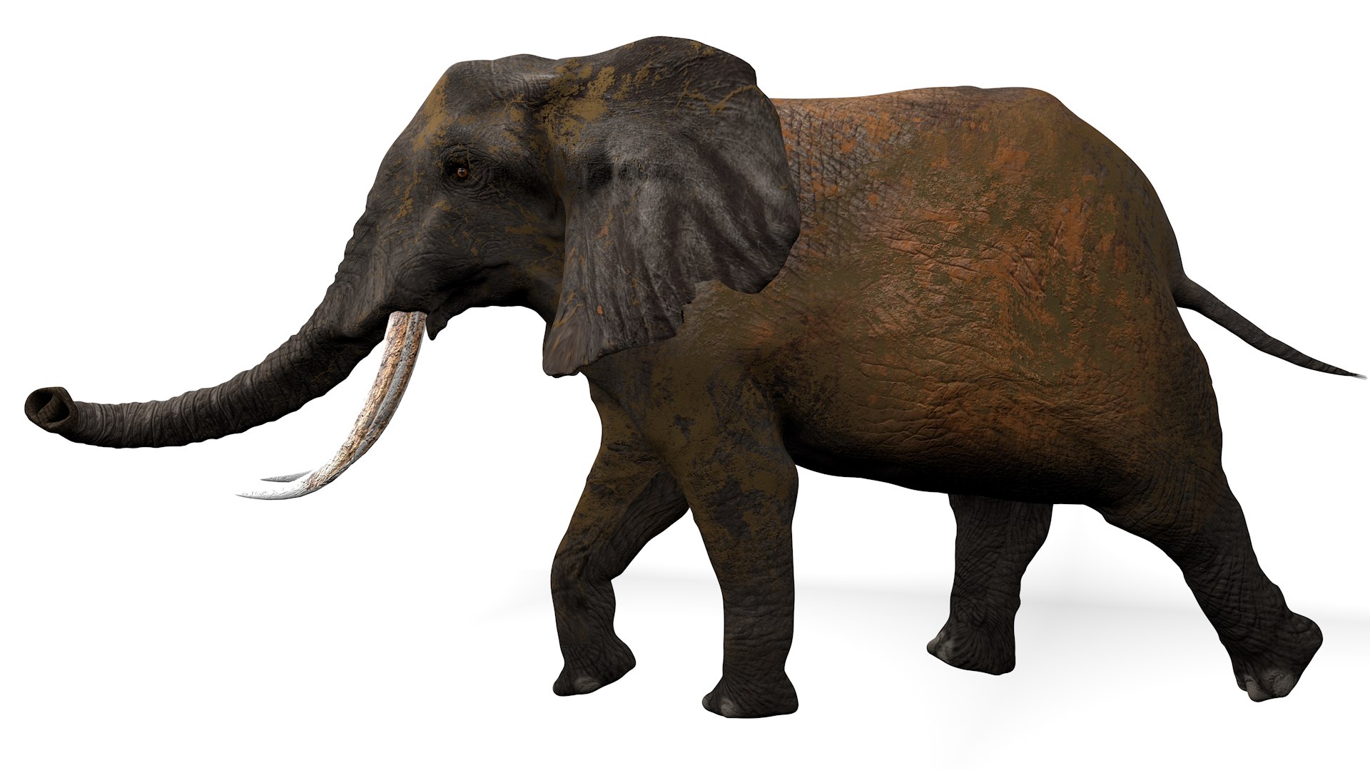 3D African Elephant RIGGED L2352 model https://p.turbosquid.com/ts-thumb/dL/n1uCsX/iL/09_0018/png/1744056646/1920x1080/fit_q87/06ec8c74277853a275291e4cf16eb35de36a5b39/09_0018.jpg