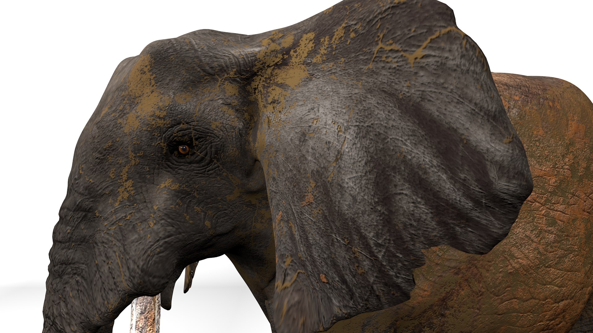 3D African Elephant RIGGED L2352 model https://p.turbosquid.com/ts-thumb/dL/n1uCsX/j9/17_i16_0000/png/1744056674/1920x1080/fit_q87/633fac7752ecd60c22fa4249db955971d3c31358/17_i16_0000.jpg