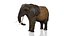 Afrikanischer Elefant RIGGED L2352