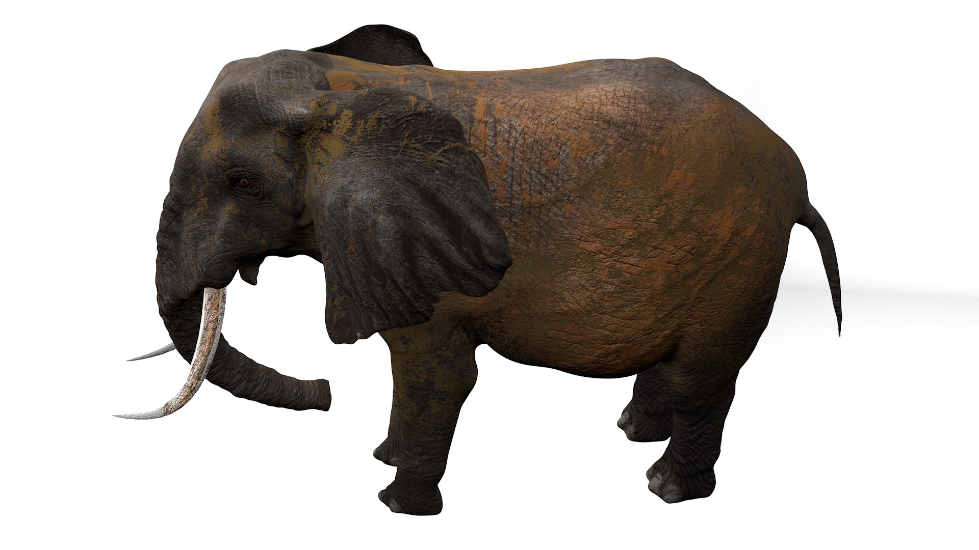 3D African Elephant RIGGED L2352 model https://p.turbosquid.com/ts-thumb/dL/n1uCsX/rT/16_0025/png/1744056672/1920x1080/fit_q87/b3e0b330e2e20fb9ab8c6514e7b4f76205d2d015/16_0025.jpg