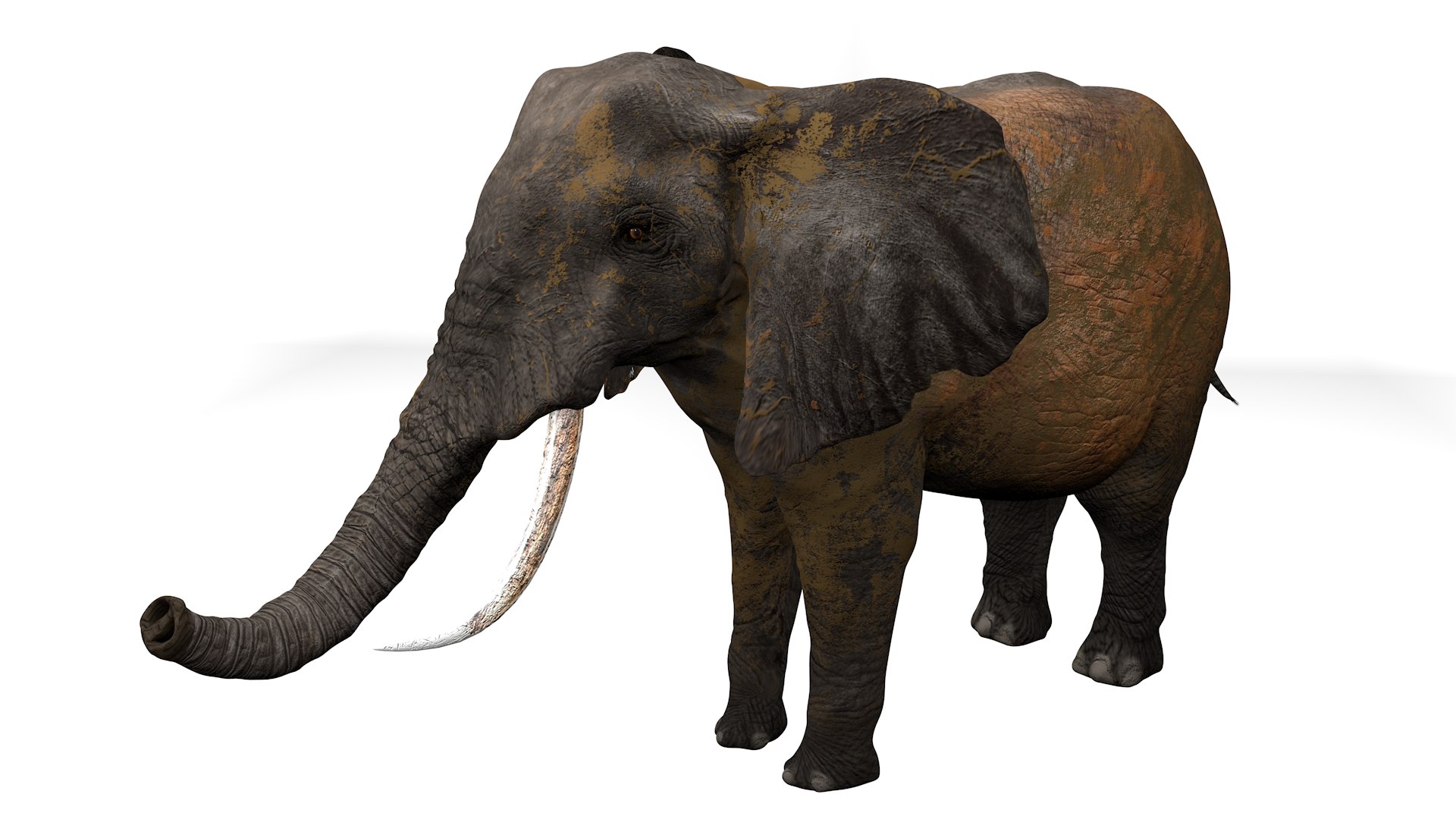 3D African Elephant RIGGED L2352 model https://p.turbosquid.com/ts-thumb/dL/n1uCsX/z3/14_0010/png/1744056663/1920x1080/fit_q87/5d9669e2c22dbb1b6b902a0d8886b1013a743e5f/14_0010.jpg