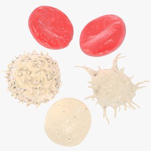 Blood Cells