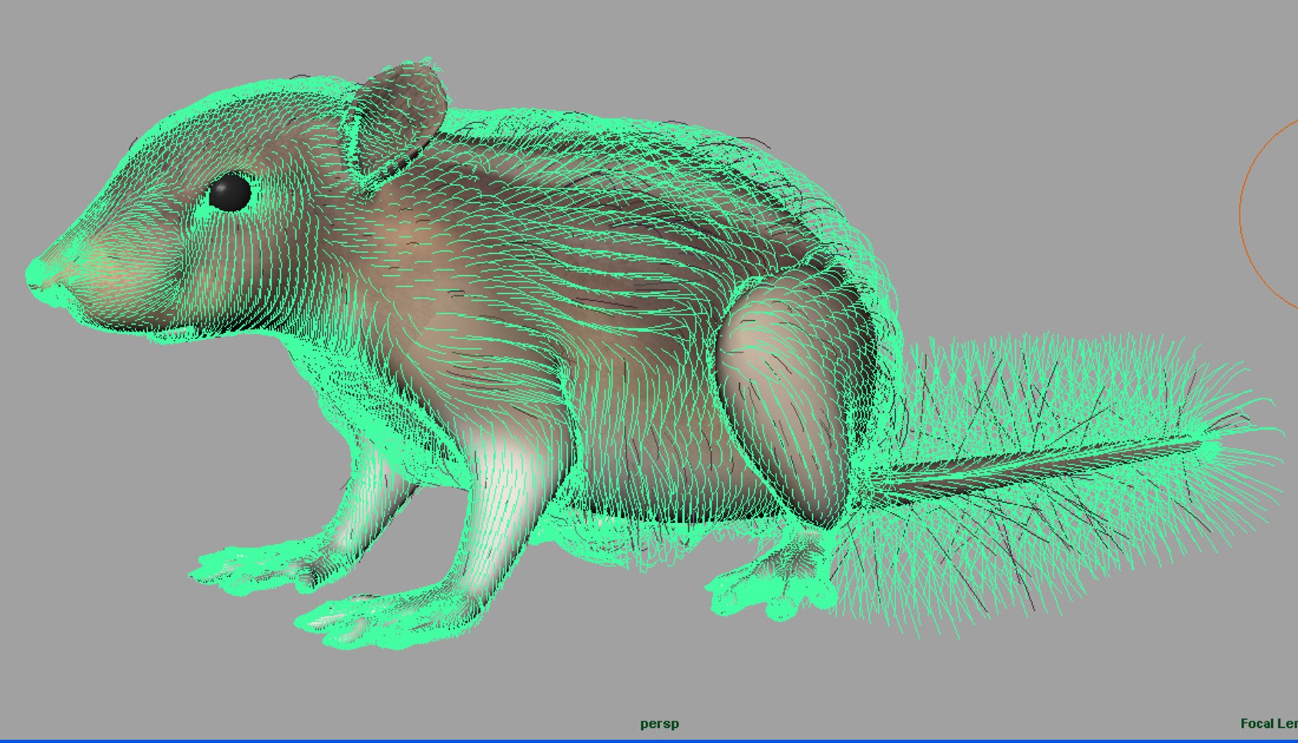 3d model black squirrel https://p.turbosquid.com/ts-thumb/dL/ywv2h3/Ca5VPDQX/7/jpg/1305958842/1920x1080/fit_q87/cf606454d4d96031c52d1ec4b4ca4930da5bd132/7.jpg