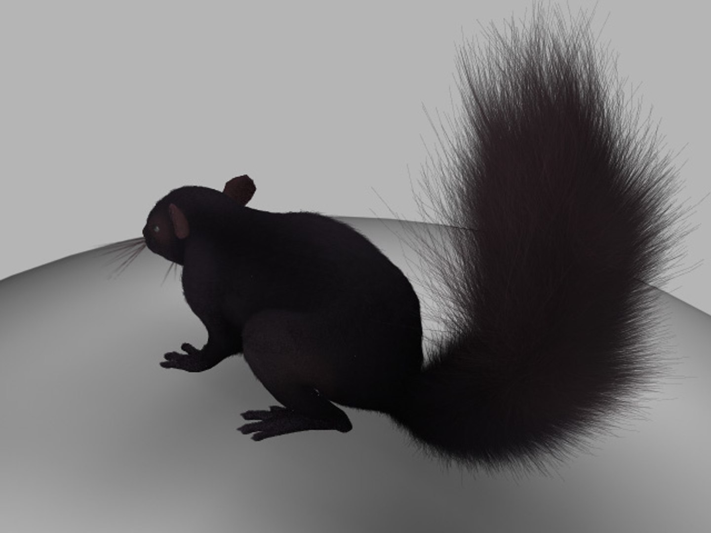3d model black squirrel https://p.turbosquid.com/ts-thumb/dL/ywv2h3/kZSNJBh1/2/jpg/1305958842/1920x1080/fit_q87/1dde5488905d4781f2d49cc2fb04106c5d9d2496/2.jpg