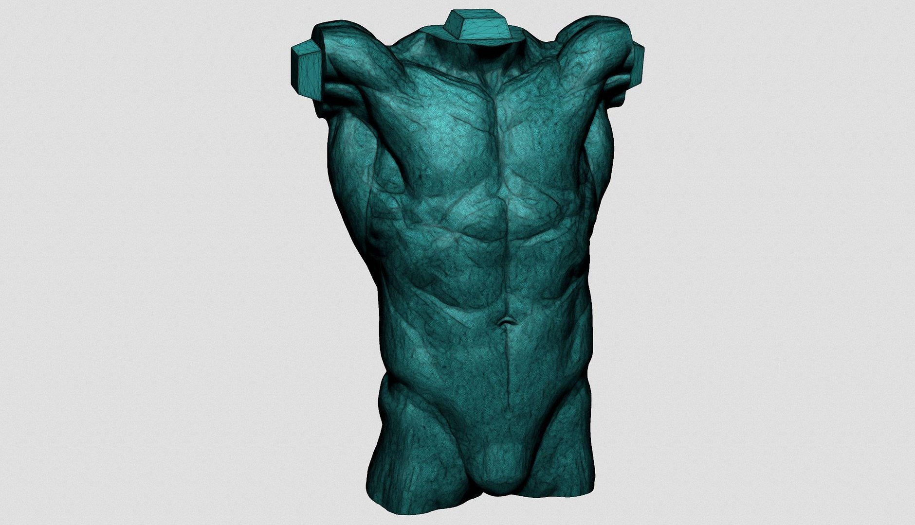 Human Anatomy Printable A 3D - TurboSquid 2202888