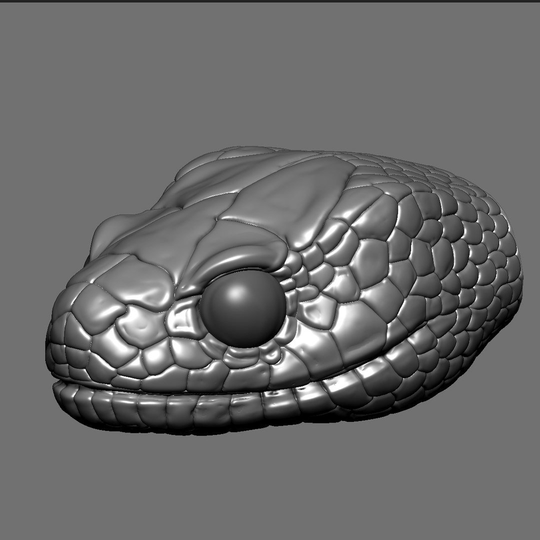 3D HIGHLY Detailed Snake Head OBJ - TurboSquid 2239957