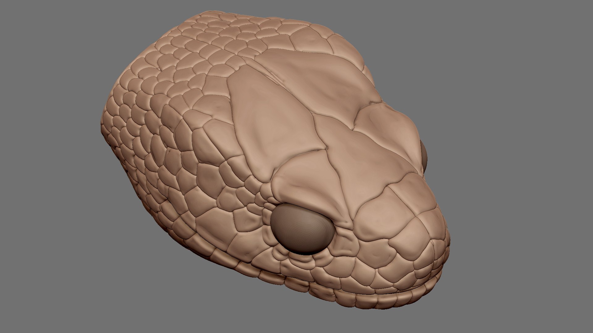 3D HIGHLY Detailed Snake Head OBJ - TurboSquid 2239957