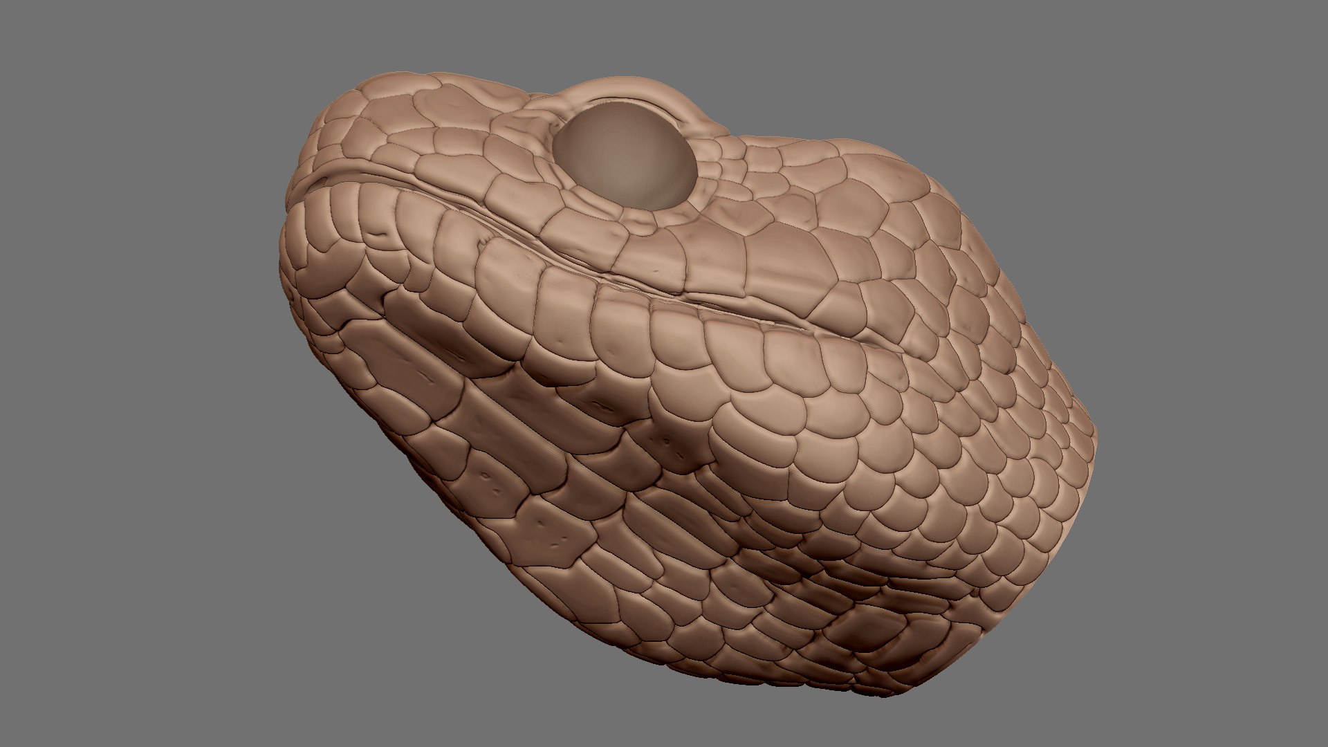 3D HIGHLY Detailed Snake Head OBJ - TurboSquid 2239957