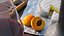 Wine Serving Set with Brie Cheese and Apricot Slices