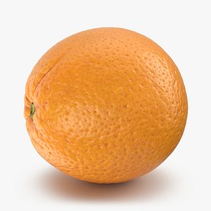 3D Orange - 3D Scanned model