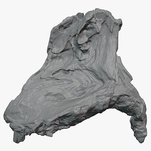 Tree Trunk Piece 09 - For 3D Print model