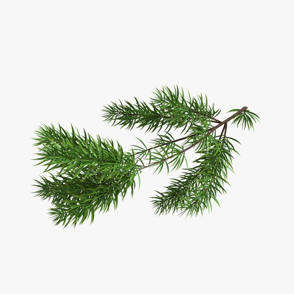 3D christmas branches