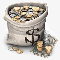 Money Bag