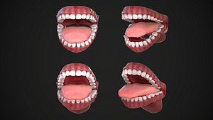 Dental Mouth and Teeth Model Rigged for animation or printing Low-poly 3D model