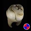 Maxillary first molar