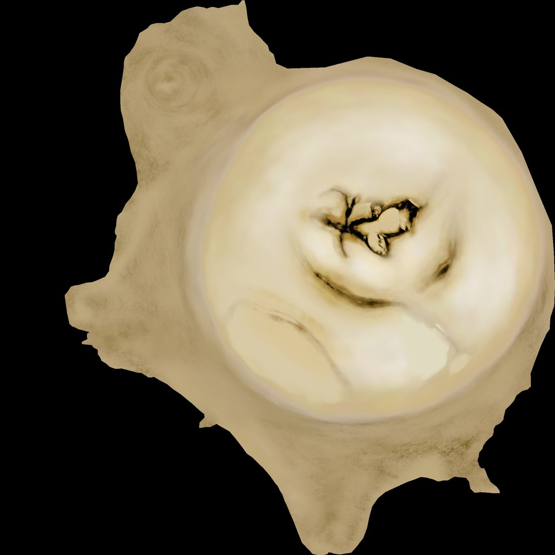 3d model maxillary molar https://p.turbosquid.com/ts-thumb/dM/fazpw7/niVOv77k/201303161040decimatedto15kpolys_2.bmp7e83c9ada4784ad599107a74f9262a8bzoom/jpg/1363669633/1920x1080/fit_q87/df003e46de0a6108246d0ee3f54194760ff98889/201303161040decimatedto15kpolys_2.bmp7e83c9ada4784ad599107a74f9262a8bzoom.jpg