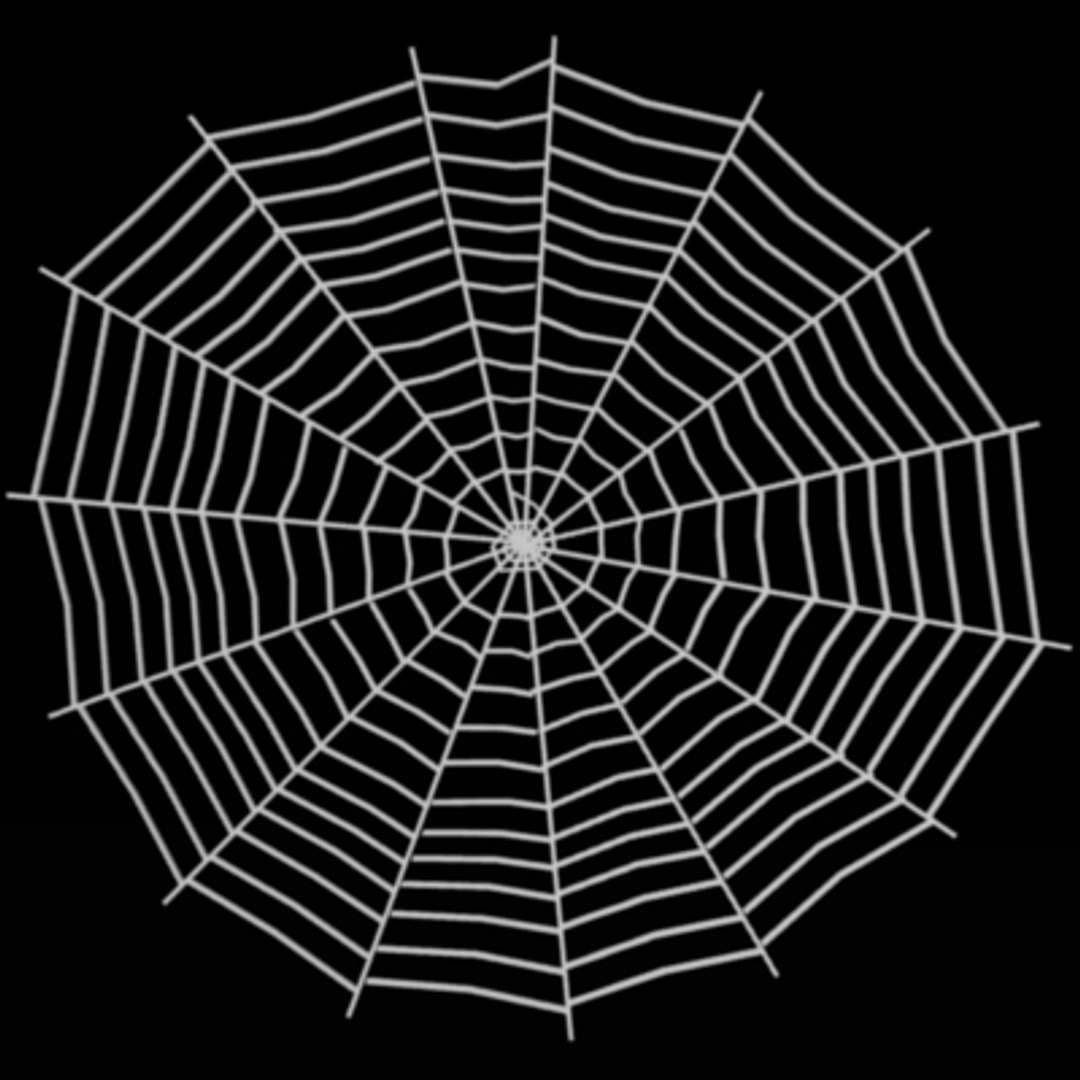 com/ts-thumb/dm/jlx0lu/mbhiq7kj/spiderweb/jp