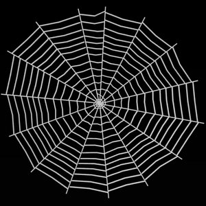 maya spider spiderweb web