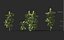 3D includes growfx files plants
