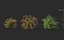 3D includes growfx files plants