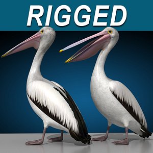 Pelican - Folded Wings